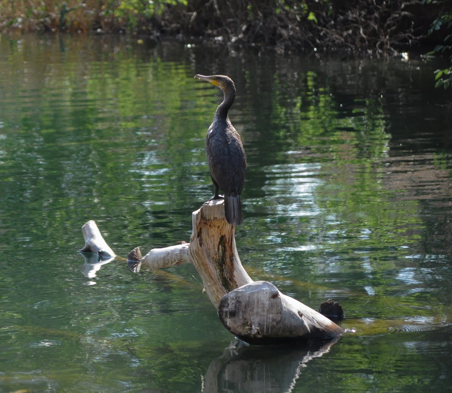 Other photograph by Öykü Erciyes