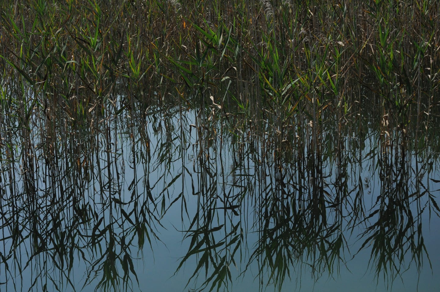 Other photograph by Öykü Erciyes