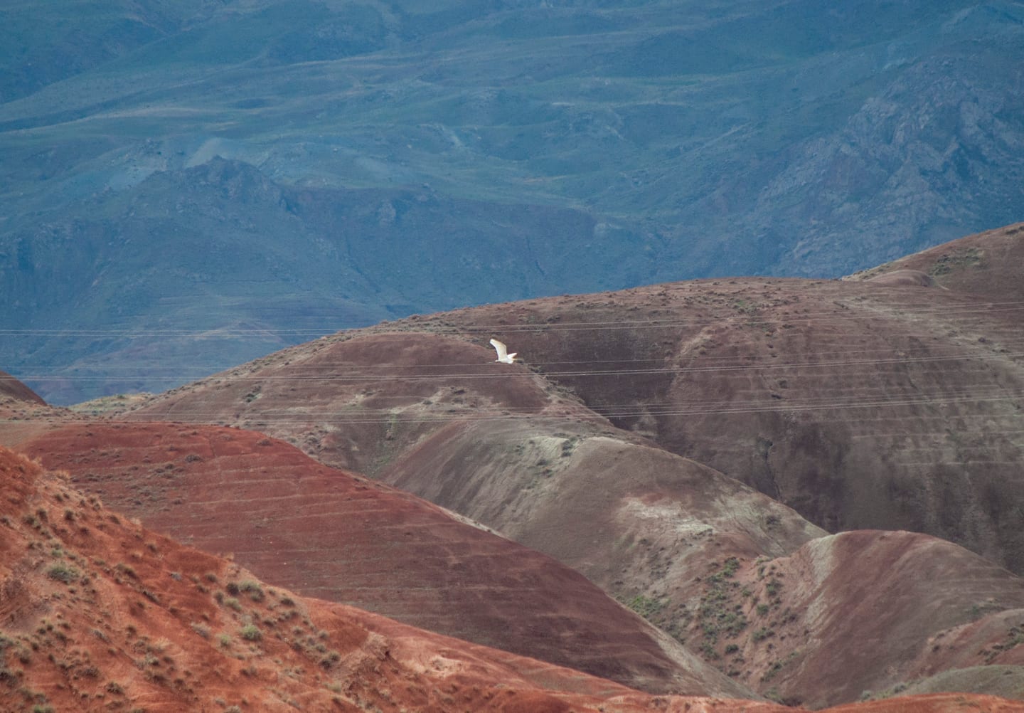 Other photograph by Öykü Erciyes