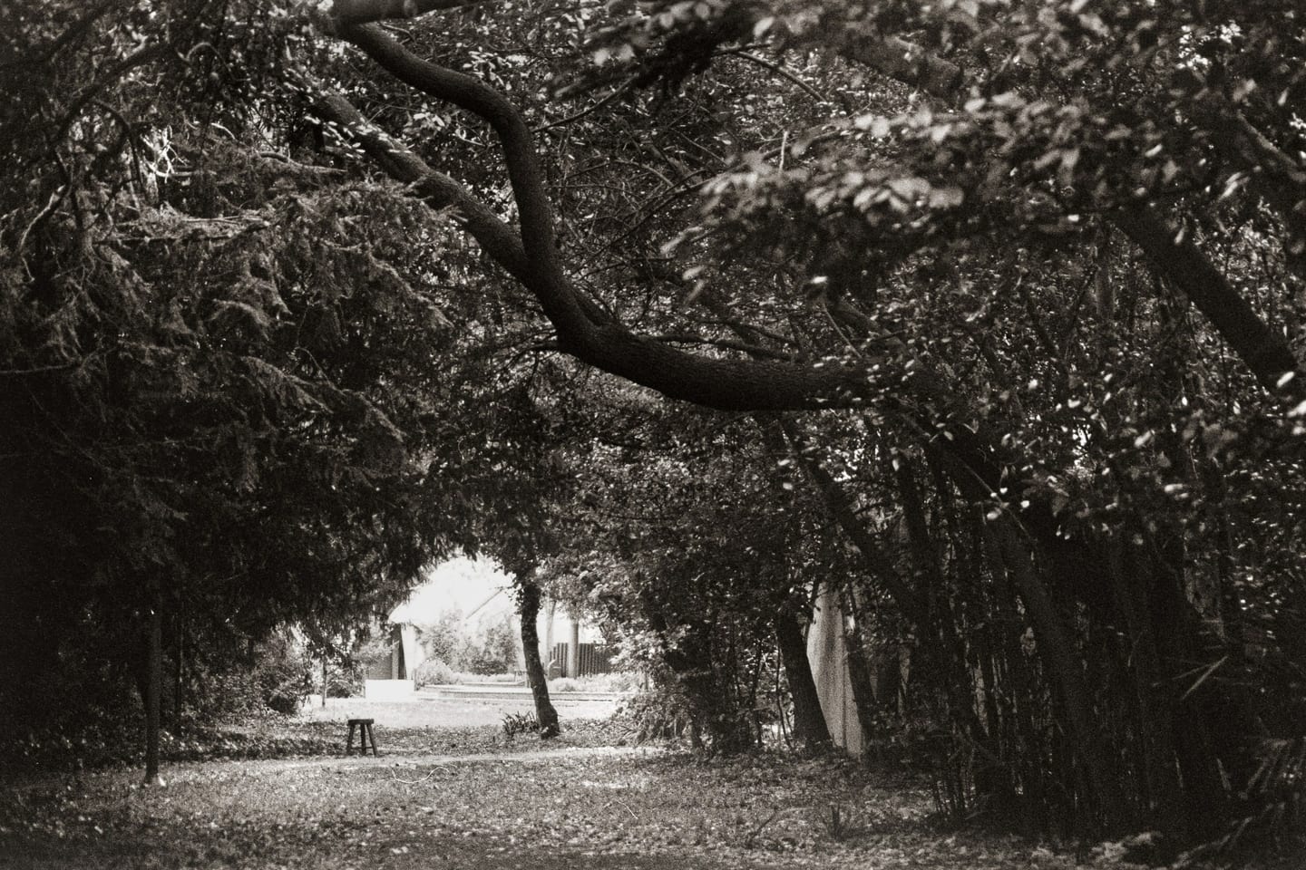 Analogue photograph by Öykü Erciyes