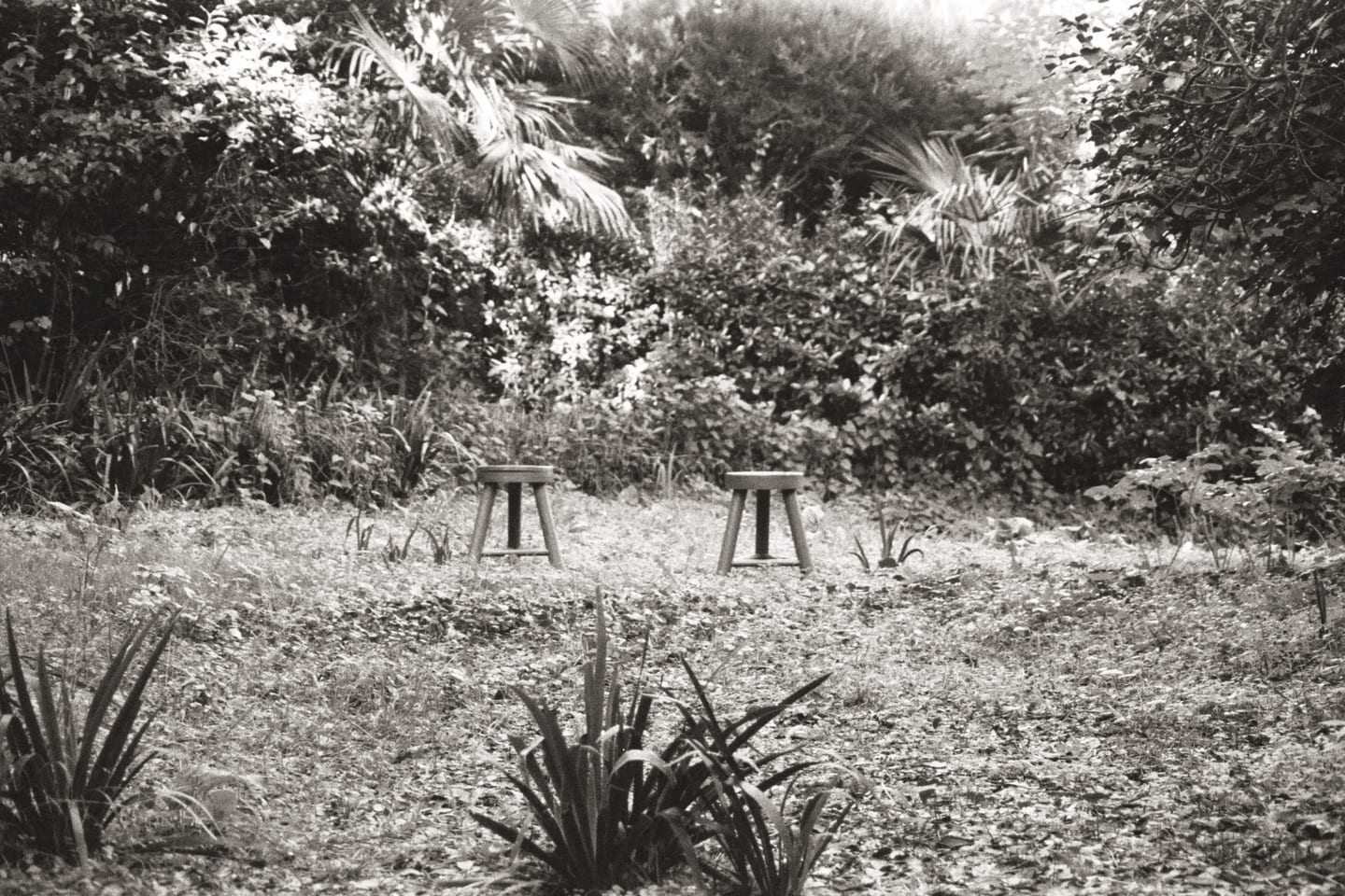 Analogue photograph by Öykü Erciyes